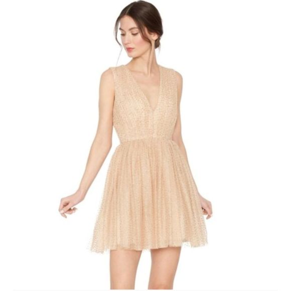 Alice + Olivia Dresses & Skirts - Alice + Olivia Gathered Glitter Tulle Fit & Flare Mini Party Dress Champaign 2